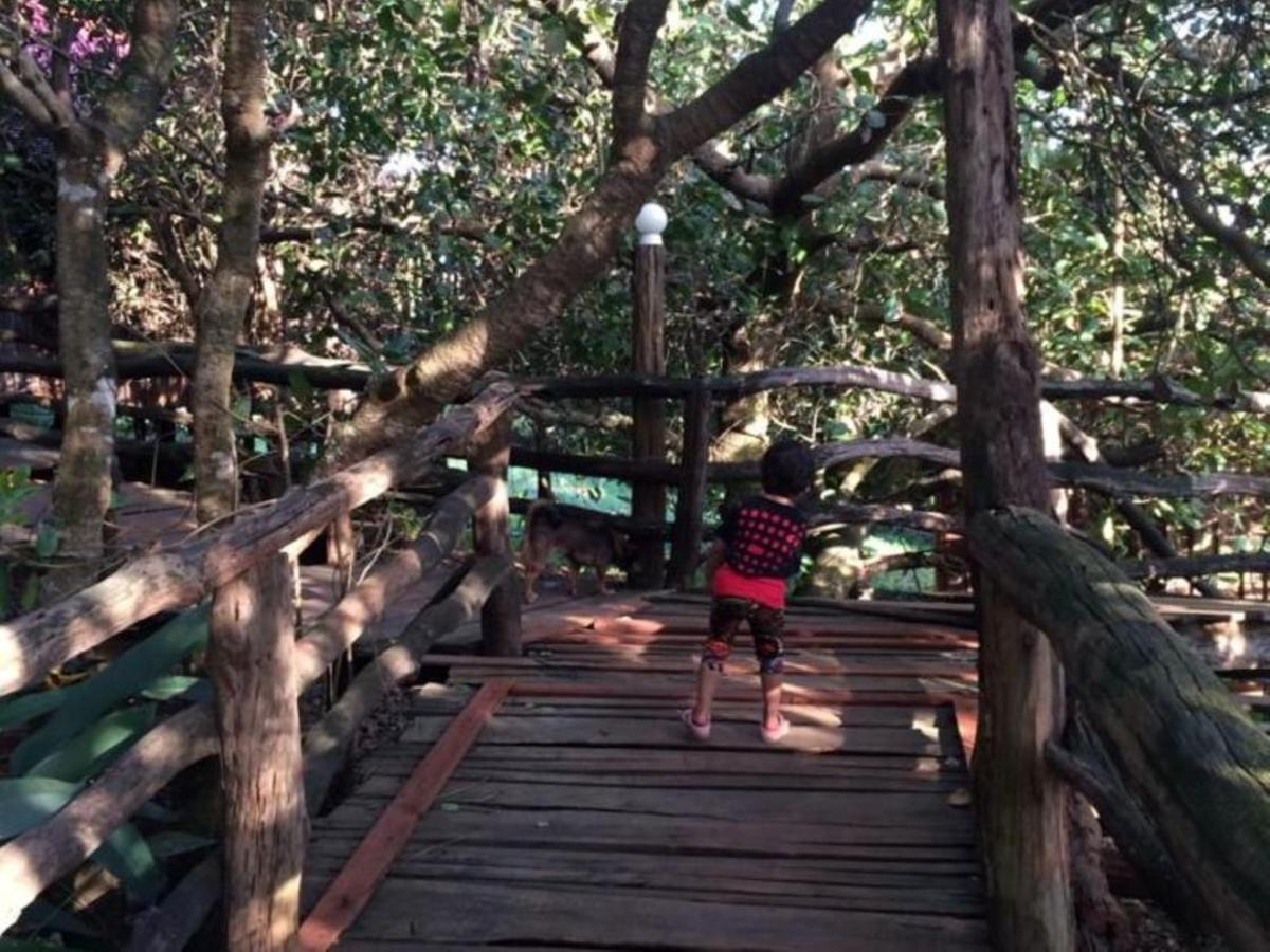 Tree Top Eco-Lodge Banlung Zewnętrze zdjęcie